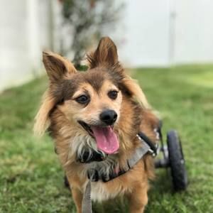 Meet your Posher, Cheri